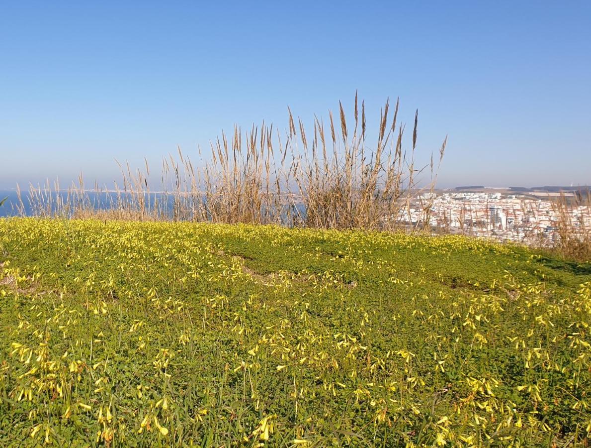 Casa Harmonica Com Vista Mar Villa Areia Branca Exteriör bild